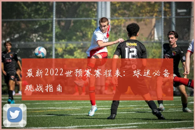 最新2022世预赛赛程表：球迷必备观战指南