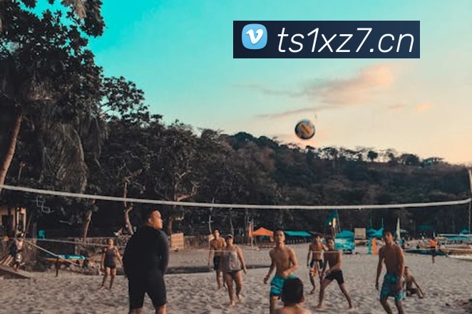 半岛官网在线登陆发展历程